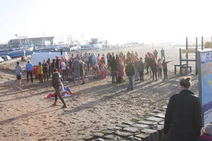 IMG 0674