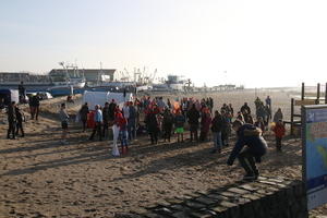IMG 6167