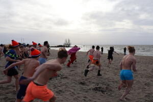 IMG 9949