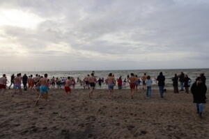 IMG 9951