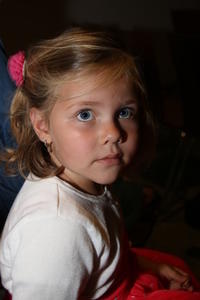 IMG 3531