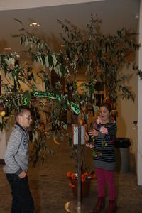 IMG 3672