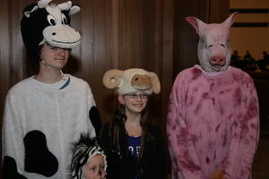 IMG 4065