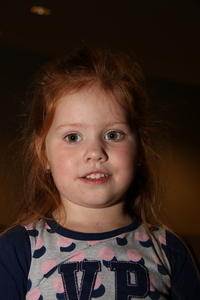 IMG 8482