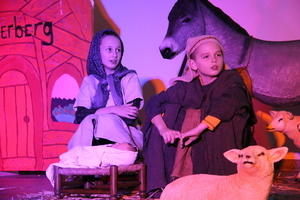 IMG 8733