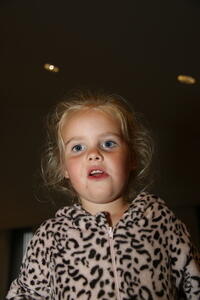 IMG 0891