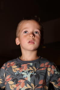 IMG 0731