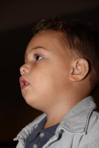 IMG 4083