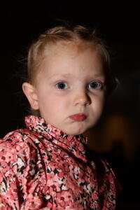 IMG 4236