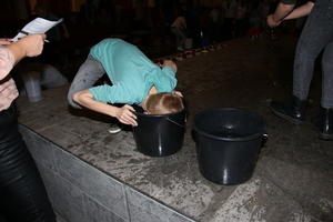 IMG 2512