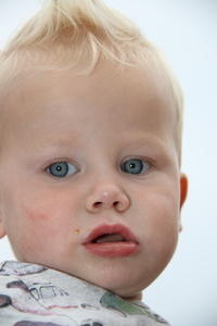 IMG 8691