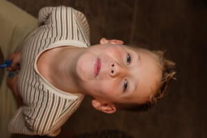IMG 2631