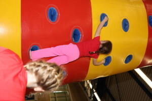IMG 3101