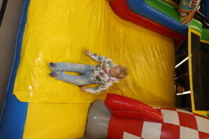 IMG 3185