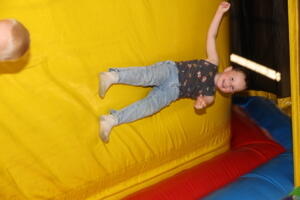 IMG 3281