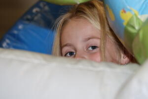 IMG 3351