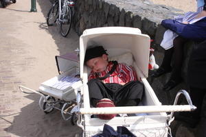 IMG 0637