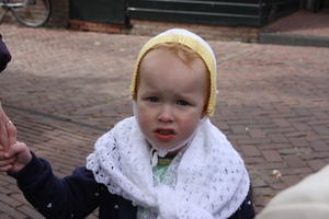 IMG 0800