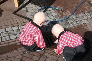 IMG 7733