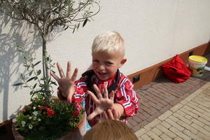 IMG 0889