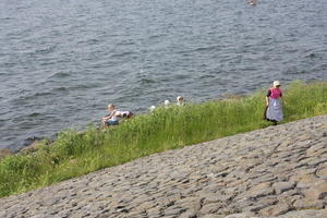 IMG 1248
