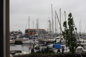 IMG 1380