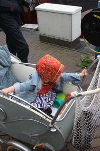 IMG 1542