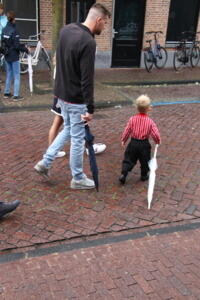 IMG 6558