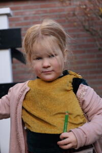 IMG 4597