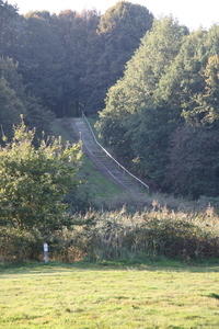 IMG 5717